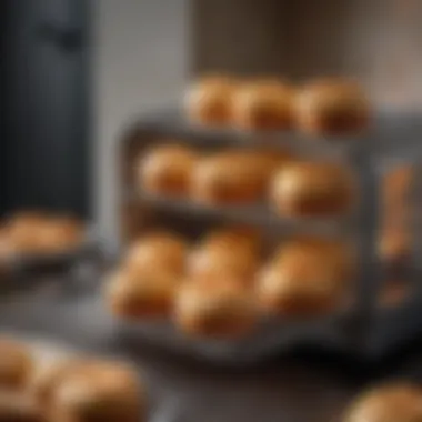 An array of delicious baked goods made in a tiny bake oven