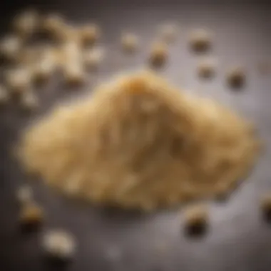 Culinary Applications of Dried Minced Garlic An array of dishes enhanced with dried minced garlic, highlighting its culinary versatility.