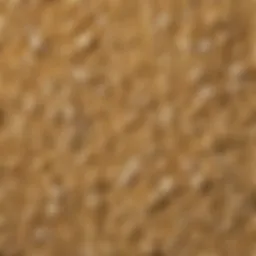 A close-up view of dried minced garlic granules showcasing their texture.