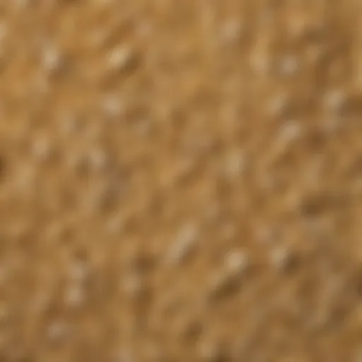 A close-up view of dried minced garlic granules showcasing their texture.