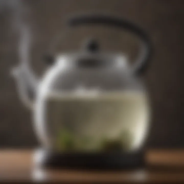 Close-up of boiling water in a whistler glass tea kettle