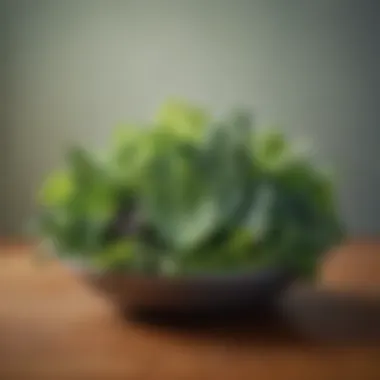 Leafy Greens: A Low-Carb Delight A vibrant assortment of low-carb leafy greens