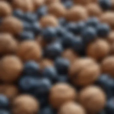 Walnuts and Blueberries: Nutrient Powerhouses Close-up of walnuts and blueberries, rich in omega-3s and antioxidants