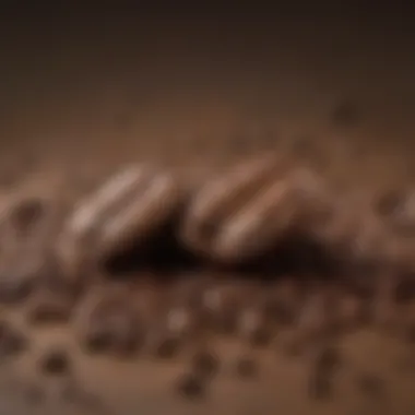 Freshly Ground Coffee Beans Close-up of freshly ground coffee beans ready for brewing