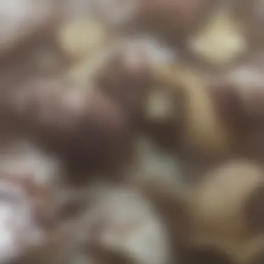 Close-up of rich Ghirardelli chocolate chips