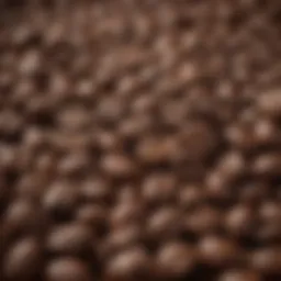 Close-up view of freshly ground coffee beans
