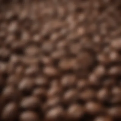Close-up view of freshly ground coffee beans
