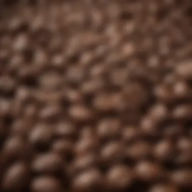 Freshly Ground Coffee Beans Close-up view of freshly ground coffee beans