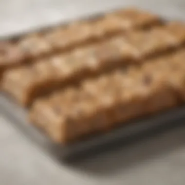 Protein Bars for Convenient Snacking Whole grain protein bars arranged on a travel-friendly tray
