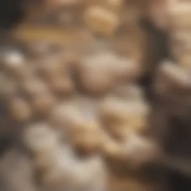 Creative Variations of Peanut Butter Cookies Variety of peanut butter cookie variations displayed