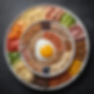 Diverse Sources of Protein for Weight Loss Protein-rich food variety on a plate
