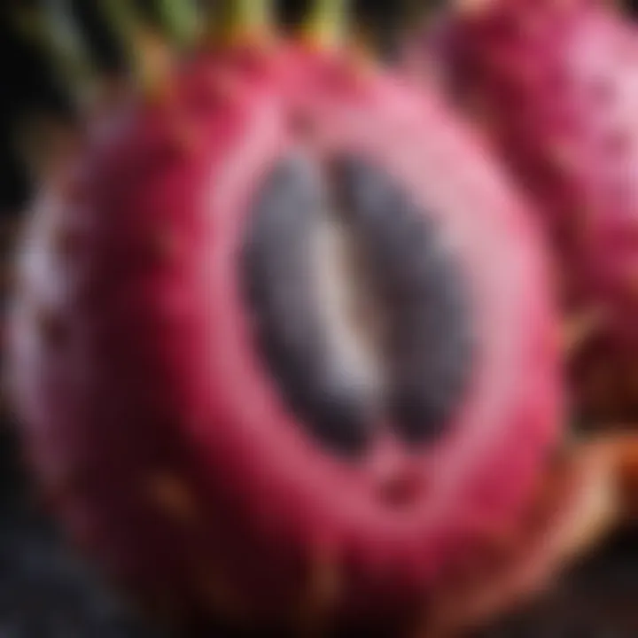 A close-up view of a whole dragon fruit showcasing its unique texture and color