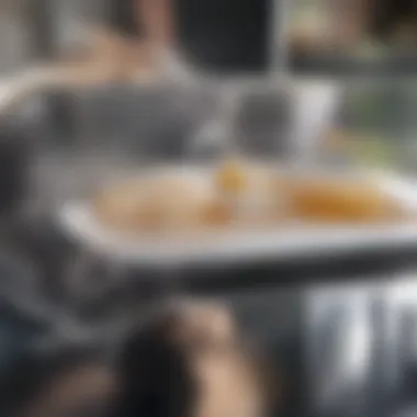 Smart Kitchen Appliance Smart kitchen appliance that simplifies meal prep