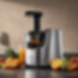 Elegant juicer showcasing its sleek design and pulp extractor.