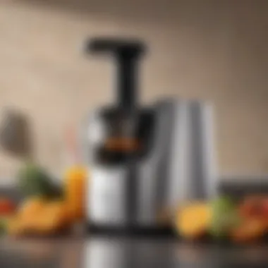 Sleek Design of a Juicer Elegant juicer showcasing its sleek design and pulp extractor.