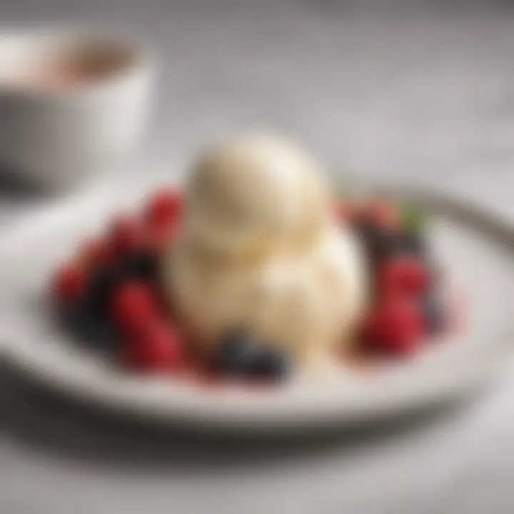 A beautifully styled dessert plate featuring keto ice cream garnished with fresh berries