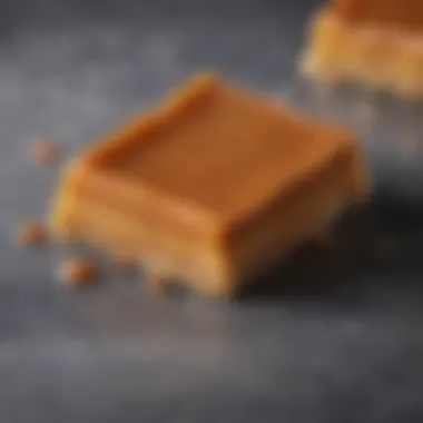 Close-up of a finished keto salted caramel bar with a glossy topping