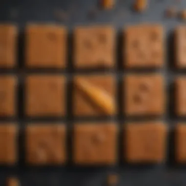 A variety of keto salted caramel bars with different toppings