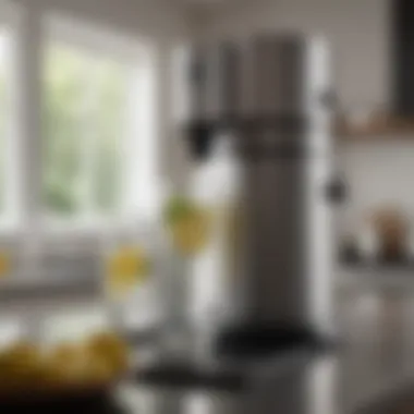 Home Carbonation System A sleek carbonation system designed for home use, showcasing its elegant design and functionality.