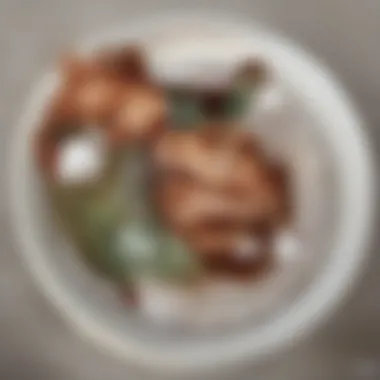 Marsala Wine Enhancing a Gourmet Dish A glass of Marsala wine paired with a gourmet dish highlighting its culinary use