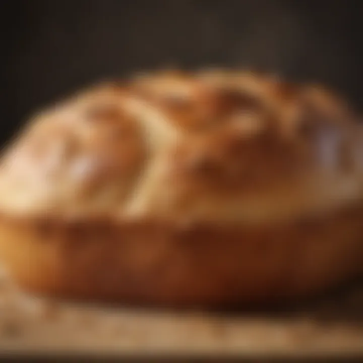 Close-up of a perfectly baked loaf showcasing a golden-brown crust