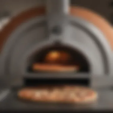 Advanced Features of Pizza Ovens An elegantly arranged pizza oven showcasing its advanced features