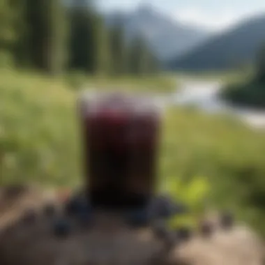 A scenic view of Montana's landscape, capturing the natural habitat of huckleberries in the wild.