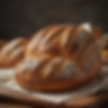 An assortment of traditional sourdough bread, emphasizing its role in probiotic nutrition.