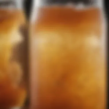 Kombucha Fermentation Process Close-up view of kombucha fermentation process with a SCOBY