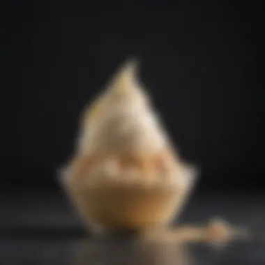 Sleek Design of the Ninja Creamy Ninja Creamy showcasing its sleek design