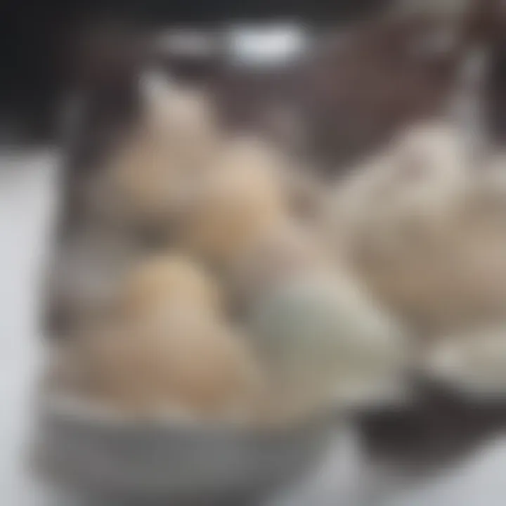 Comparison between Ninja Creamy and traditional ice cream makers