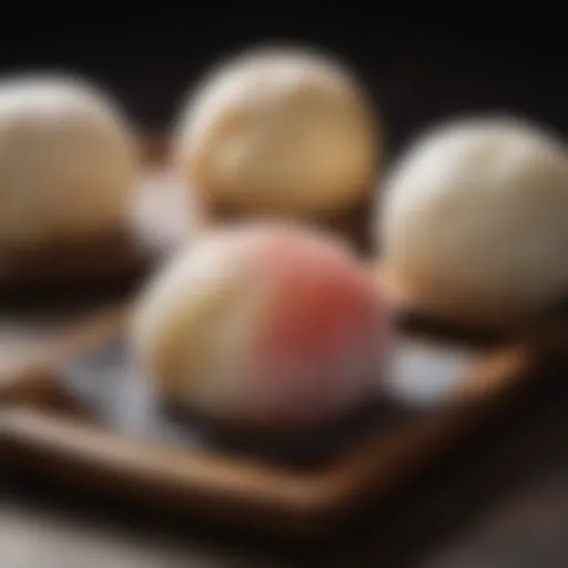 Close-up of handcrafted Nisshodo Mochi showcasing its delicate texture