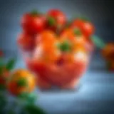 Optimal Storage Methods for Fresh Tomatoes Introduction