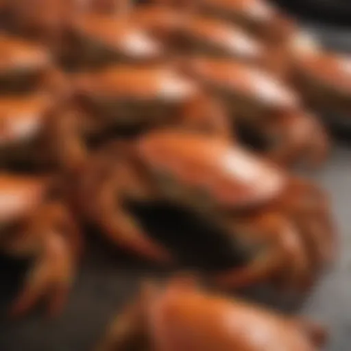 Fresh Maryland crabs ready for delivery