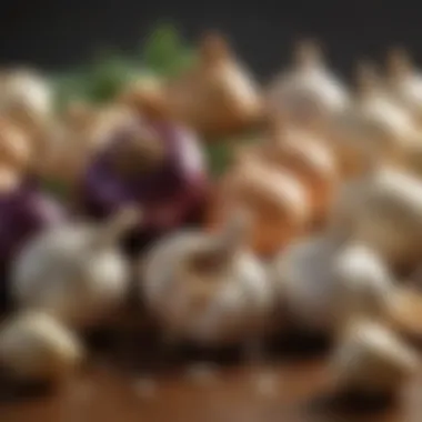 A variety of garlic bulbs displayed in natural light