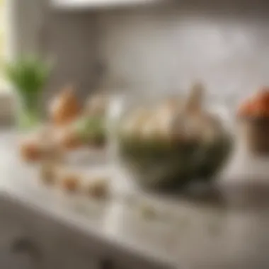 Storage containers for garlic on a kitchen countertop