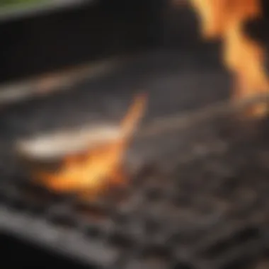 Igniting the Flame of a Propane Grill Close-up of a propane grill flame igniting
