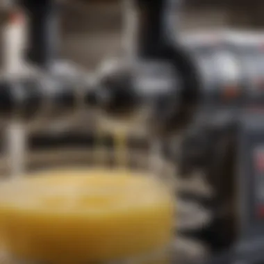 Close-up view of the twin gear system in the Slowstar Juicer highlighting its unique feature.