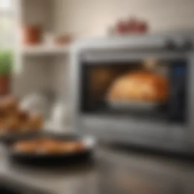 Capturing Culinary Moments: The Camera Functionality Close-up of the smart toaster oven's camera feature in action.