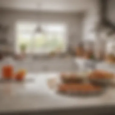 Hygienic Kitchen Setting A clean kitchen environment free from fruit flies