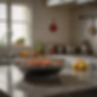 Effective Fly Trap in Kitchen A kitchen countertop with a fly trap in action