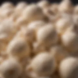 A close-up view of stretchy ice cream showing its unique texture