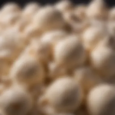 Unique Texture of Stretchy Ice Cream A close-up view of stretchy ice cream showing its unique texture