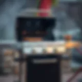 The Comprehensive Guide to Weber Q Gas Grills Introduction