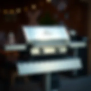 The Comprehensive Guide to Weber Q Gas Grills Summary The Comprehensive Guide to Weber Q Gas Grills Summary