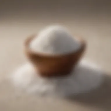 Exploring Various Types of Salt Different types of salt used in culinary practices