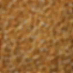 A close-up of popcorn kernels showcasing various types and colors.