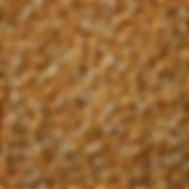 A close-up of popcorn kernels showcasing various types and colors.
