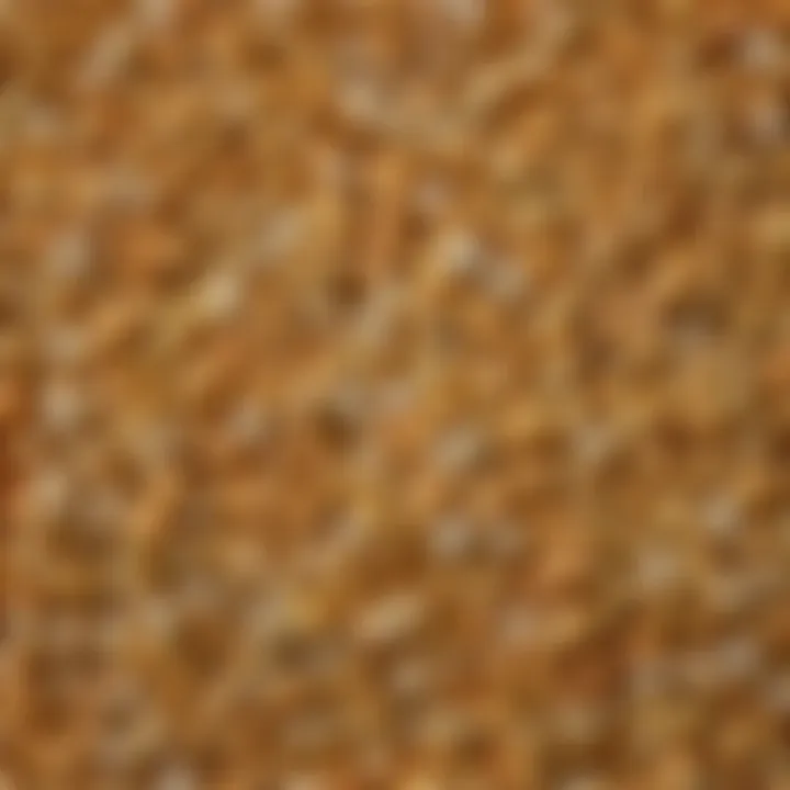 A close-up of popcorn kernels showcasing various types and colors.
