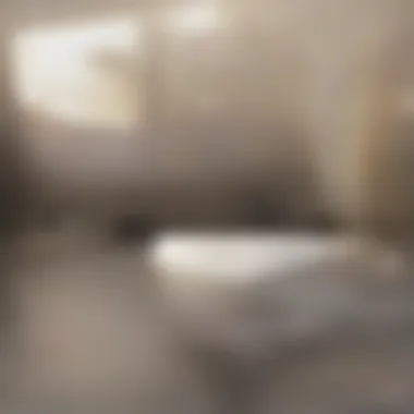 Maintaining a Dust-Free Living Environment A cozy living room with minimal dust visible